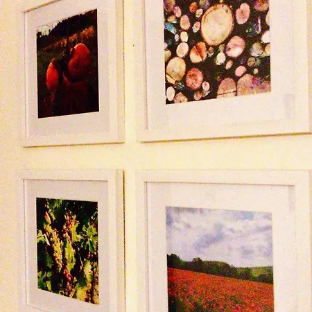 Apartamento 2-br 1 Bath Abode With 2 Ac Units In The Chianti Hills!